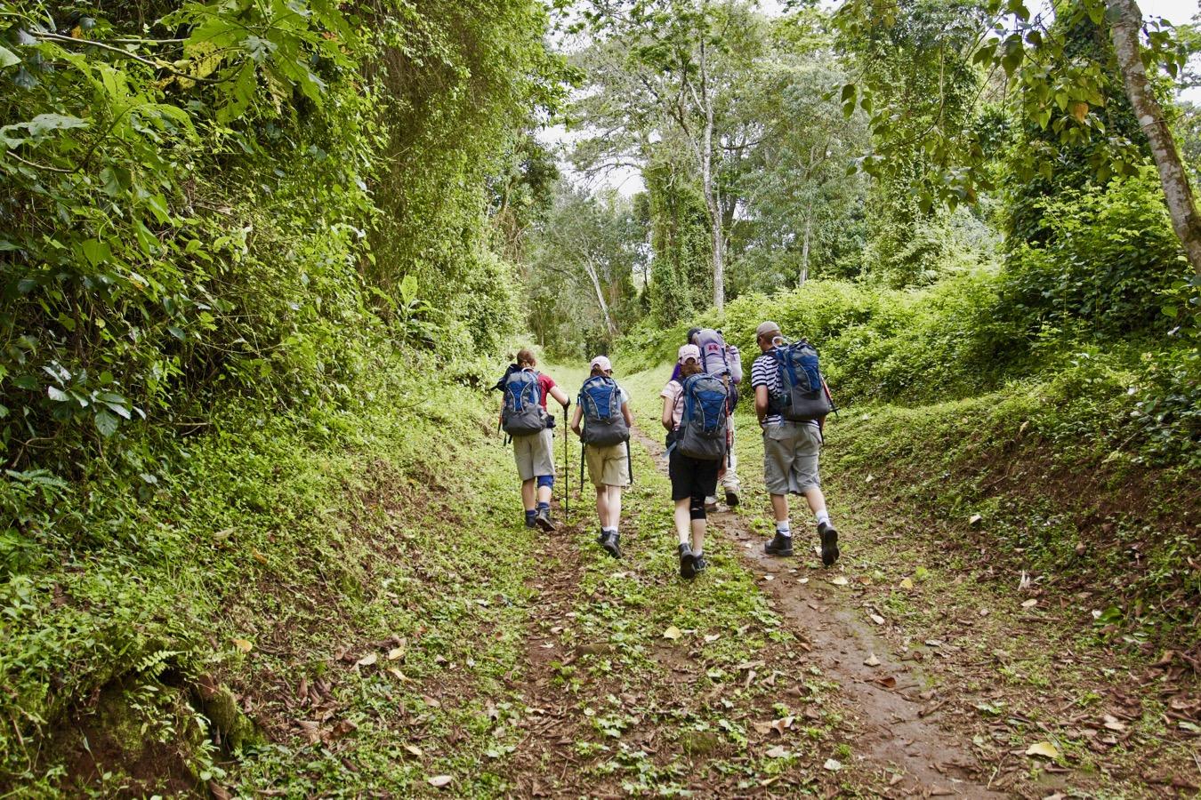 Mt. Kilimanjaro Day Hike